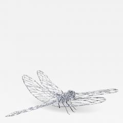 Peter Busby DRAGONFLY 2001 - 3728468