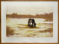 Peter Doig Pinto by PETER DOIG - 2897418