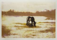 Peter Doig Pinto by PETER DOIG - 2898884