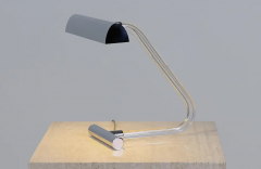 Peter Hamburger Peter Hamburger Crylicord Sculpted Lucite Chrome Table Lamp - 2752147