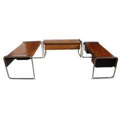 Peter Protzman Peter Protzmann Zebrawood and Chrome Credenza for Herman Miller - 2762898
