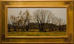 Peter Sculthorpe Buttonwoods in Autumn - 79554