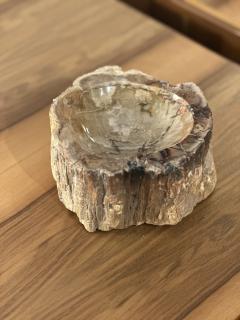 Petrified Wood Ash Tray Catchall - 3465213
