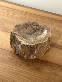 Petrified Wood Ash Tray Catchall - 3465214