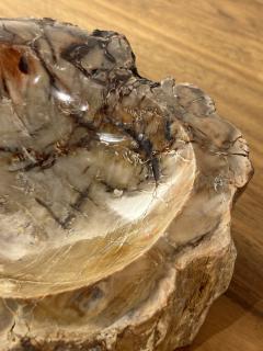 Petrified Wood Ash Tray Catchall - 3465215