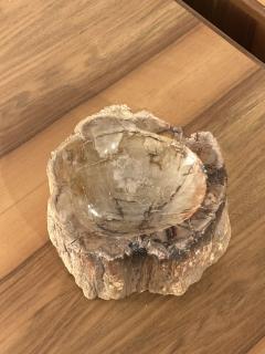 Petrified Wood Ash Tray Catchall - 3465217