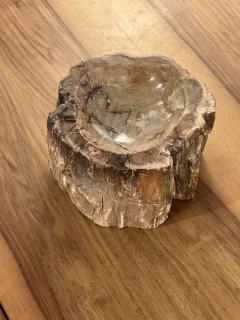 Petrified Wood Ash Tray Catchall - 3465218