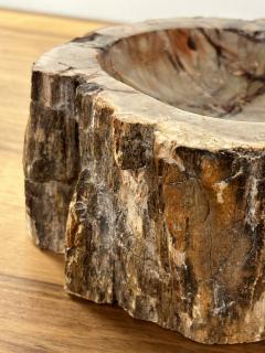 Petrified Wood Ash Tray Catchall - 3465223