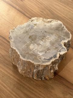 Petrified Wood Ash Tray Catchall - 3465224