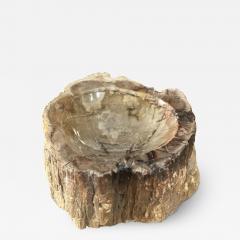 Petrified Wood Ash Tray Catchall - 3467236