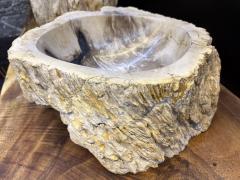 Petrified Wood Organic Modern Single Sink Grey Brown Beige IDN 2024 - 4061762