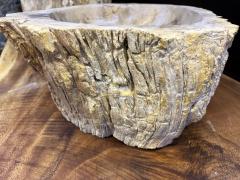 Petrified Wood Organic Modern Single Sink Grey Brown Beige IDN 2024 - 4061764