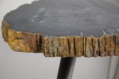 Petrified Wood Side Table with Stainless Steel Feet Organic Modern IDN 2021 - 4023063