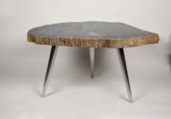 Petrified Wood Side Table with Stainless Steel Feet Organic Modern IDN 2021 - 4023065