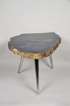 Petrified Wood Side Table with Stainless Steel Feet Organic Modern IDN 2021 - 4023067