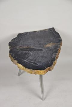 Petrified Wood Side Table with Stainless Steel Feet Organic Modern IDN 2021 - 4023068