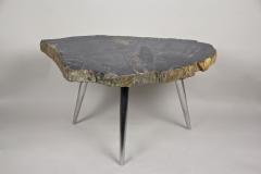 Petrified Wood Side Table with Stainless Steel Feet Organic Modern IDN 2021 - 4023069