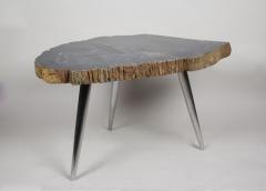 Petrified Wood Side Table with Stainless Steel Feet Organic Modern IDN 2021 - 4023072