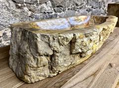 Petrified Wood Sink Beige Yellow Brown Tones Organic Modern Top Quality - 3306214