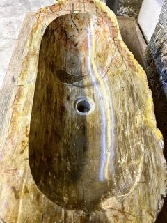 Petrified Wood Sink Beige Yellow Brown Tones Organic Modern Top Quality - 3306217