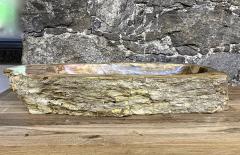 Petrified Wood Sink Beige Yellow Brown Tones Organic Modern Top Quality - 3306218