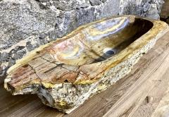 Petrified Wood Sink Beige Yellow Brown Tones Organic Modern Top Quality - 3306219