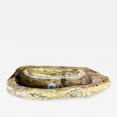 Petrified Wood Sink Beige Yellow Brown Tones Organic Modern Top Quality - 3307003
