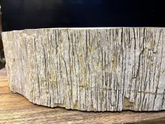 Petrified Wood Sink Grey Beige Tones Organic Modern Top Quality IDN 2023 - 3310126