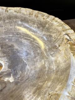 Petrified Wood Sink Grey Beige Tones Organic Modern Top Quality IDN 2023 - 3310127