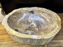 Petrified Wood Sink Grey Beige Tones Organic Modern Top Quality IDN 2023 - 3310128