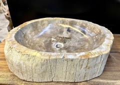 Petrified Wood Sink Grey Beige Tones Organic Modern Top Quality IDN 2023 - 3310130