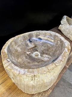 Petrified Wood Sink Grey Beige Tones Organic Modern Top Quality IDN 2023 - 3310131