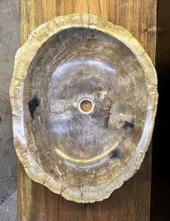 Petrified Wood Sink Grey Beige Tones Organic Modern Top Quality IDN 2023 - 3310133