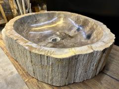 Petrified Wood Sink Grey Beige Tones Organic Modern Top Quality IDN 2023 - 3310134