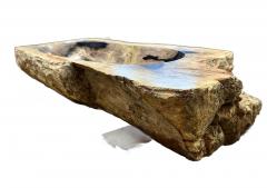 Petrified Wood Sink Grey Brown Black Beige Tones Polished Top Quality - 3722563