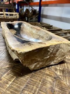 Petrified Wood Sink Grey Brown Black Beige Tones Polished Top Quality - 3722565