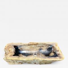 Petrified Wood Sink Grey Brown Black Beige Tones Polished Top Quality - 3728434