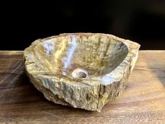 Petrified Wood Sink In Beige Brown Yellow Tones Polished Top Quality IDN - 3398920