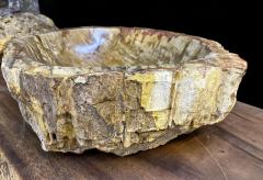 Petrified Wood Sink In Beige Brown Yellow Tones Polished Top Quality IDN - 3398923