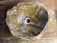 Petrified Wood Sink In Beige Brown Yellow Tones Polished Top Quality IDN - 3398924