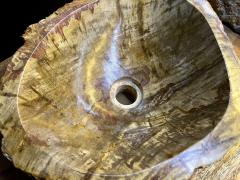 Petrified Wood Sink In Beige Brown Yellow Tones Polished Top Quality IDN - 3398925