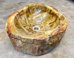Petrified Wood Sink In Beige Brown Yellow Tones Top Quality IDN 2025 - 4319959