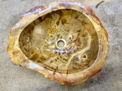 Petrified Wood Sink In Beige Brown Yellow Tones Top Quality IDN 2025 - 4319961
