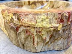 Petrified Wood Sink In Beige Brown Yellow Tones Top Quality IDN 2025 - 4319963
