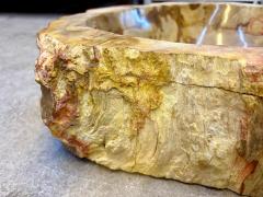 Petrified Wood Sink In Beige Brown Yellow Tones Top Quality IDN 2025 - 4319964
