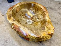 Petrified Wood Sink In Beige Brown Yellow Tones Top Quality IDN 2025 - 4319966