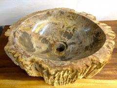 Petrified Wood Sink Modern Organic Grey Brown Beige polished IDN 2025 - 4342549