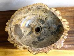 Petrified Wood Sink Modern Organic Grey Brown Beige polished IDN 2025 - 4342552