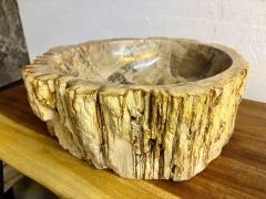 Petrified Wood Sink Modern Organic Grey Brown Beige polished IDN 2025 - 4342554