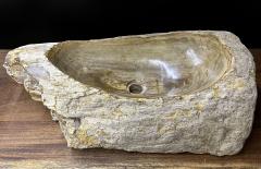 Petrified Wood Sink Organic Modern in Grey Beige Brown Tones Top Quality - 3594920